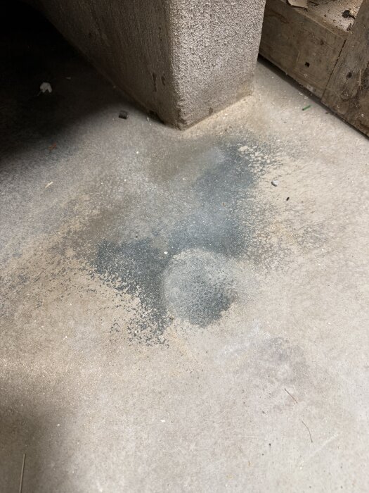 Blå/gröna fläckar på slipat betonggolv i källare, där fläckarna misstänks bero på fuktproblem.