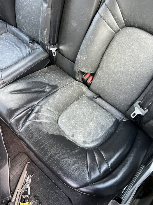 Bilinteriör med svarta lädersäten som visar tecken på ytligt mögel.