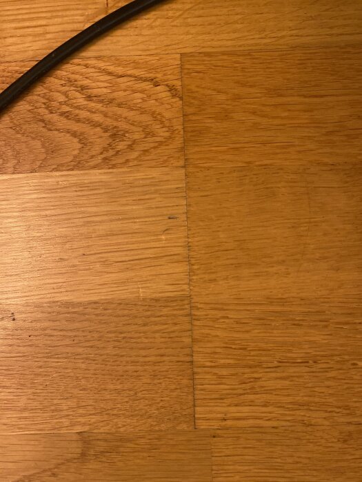 Trägolv med mörka linjer mellan plankor, misstänkt mögeltecken.