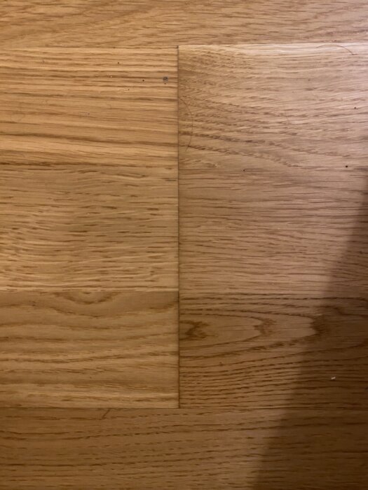 Trägolv med mörka skarvar mellan plankor, eventuellt tecken på fuktskada eller mögeltillväxt.