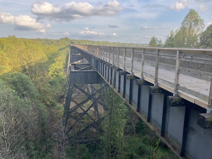 Gångbro av trä och metall över en skogsklädd ravin under en klar himmel.