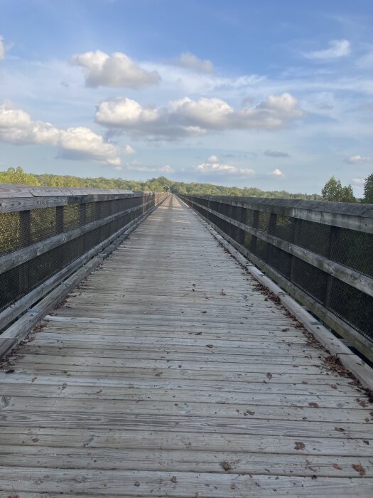 Lång träbro med räcken sträcker sig över ett grönt landskap under en blå himmel med vita moln.