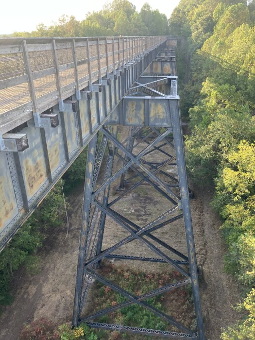 Stålbro med räcken och diagonala stag, sedd från ovan, över grönskande skogslandskap.
