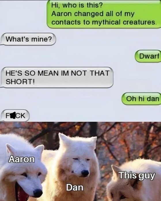 Textmeddelanden om namnändring till mytiska varelser, följt av tre vargar med namnen Aaron, Dan och This guy.