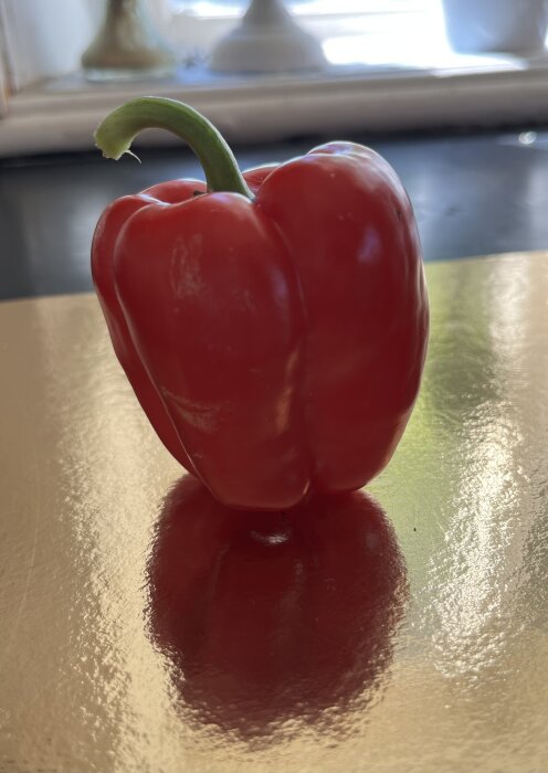 Röd paprika på ett bord i närbild, skördad från en framgångsrik paprikaplanta.