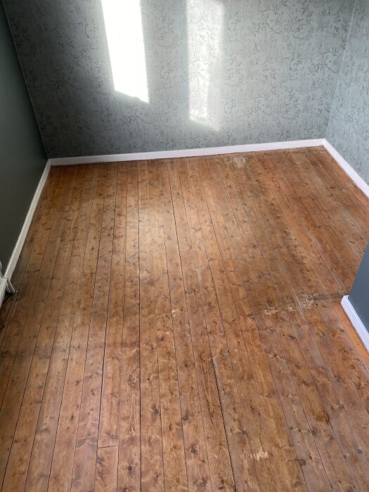 Trägolv i ett rum före slipning, med solstrålar som lyser in från ett fönster och grön tapet på väggarna.