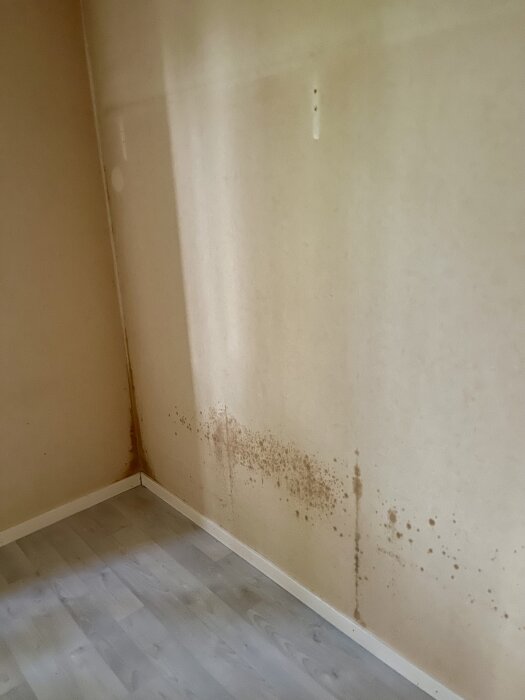 Fläckar på hörna av tapetvägg, misstänkt mögel eller fukt, nära golvlist. Potentiell risk för upprepad tillväxt efter tidigare möbelöverdrag.
