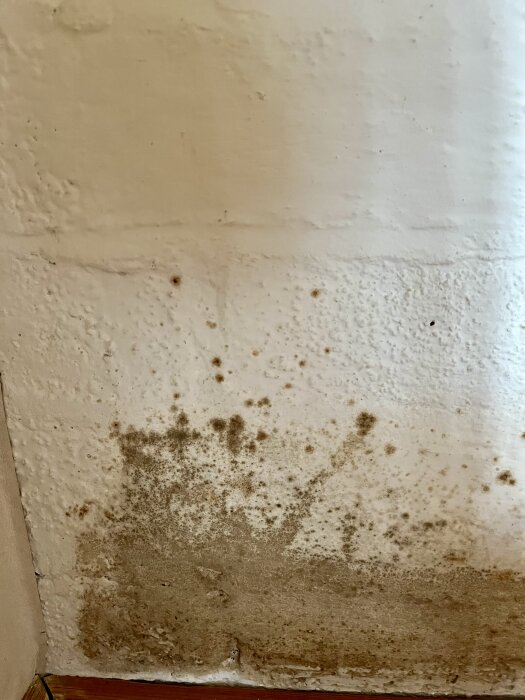 Fläckar på ljus vägg, möjligen mögel eller fukt, synliga ovanför golvlisten i ett hörn.