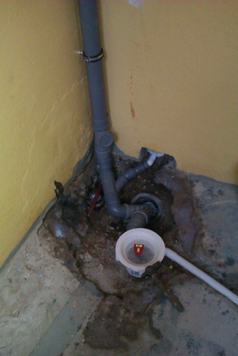 IMAG0762.jpg