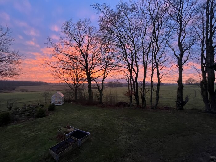 Solnedgång över ett fält med trädgräns och ett litet växthus, himlen skiftar i rosa och blått.