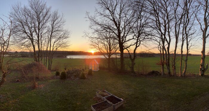 Solnedgång över en åker med nakna träd i förgrunden och ett litet växthus.