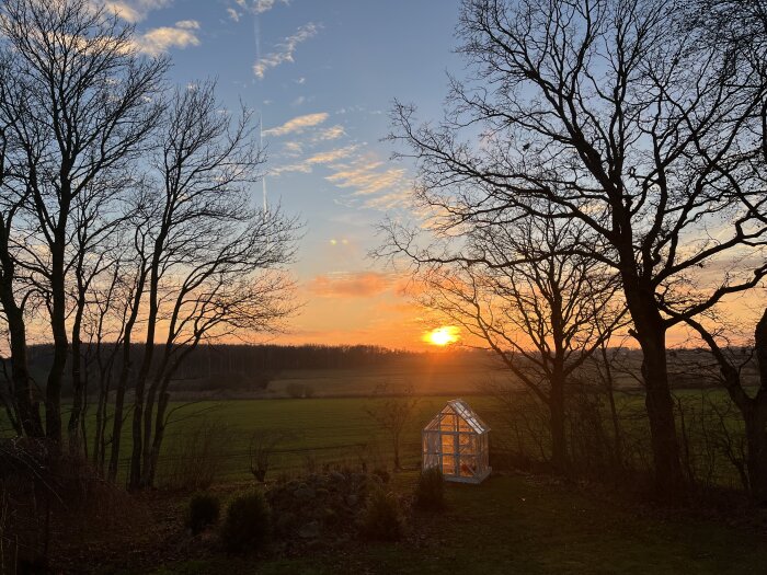 Solnedgång över landskap med träd och ett litet växthus i förgrunden.
