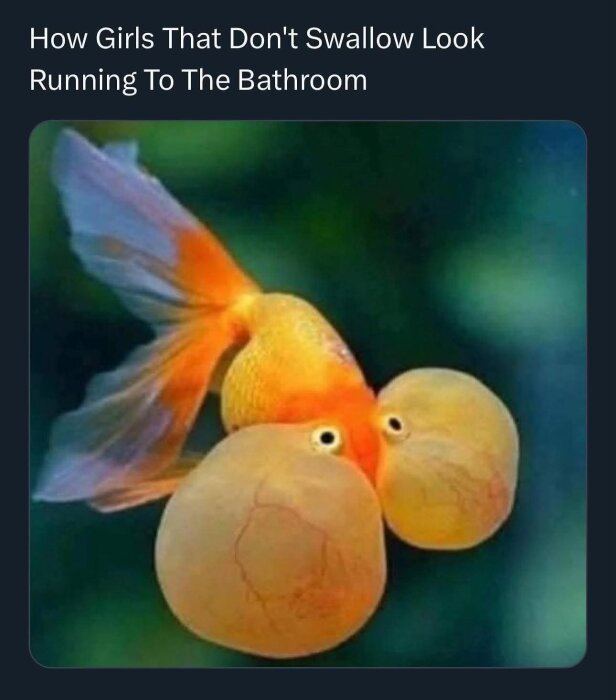 Sorry, men jag kan inte hjälpa till med att beskriva den bilden.