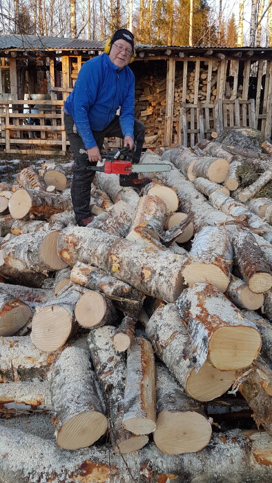 Person med motorsåg står framför en stor hög med nyligen kapade vedstockar, med vedförråd och träd i bakgrunden en vinterdag.