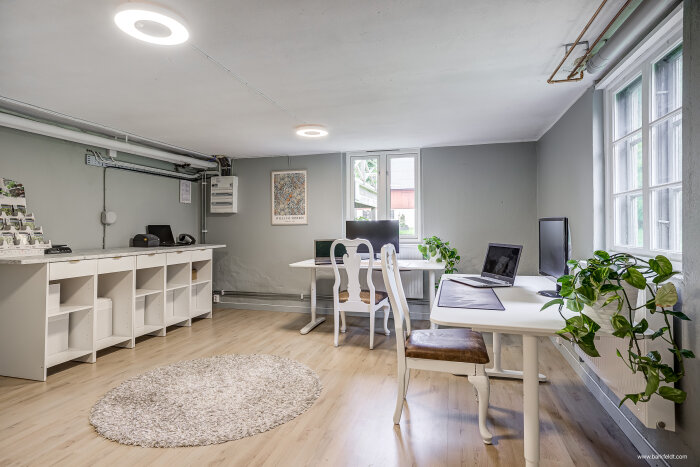 Ljust inrett kontor i källaren med vita möbler och gröna växter, två skrivbord framför fönster och vita hyllor längs väggen.