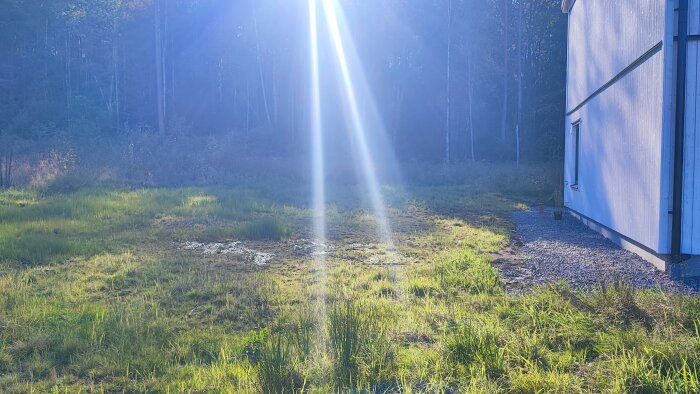 Grön tomt med gräs och solstrålar, husvägg till höger, skog i bakgrunden.