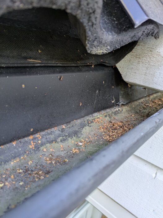 Hängränna med löv och smuts under taket vid inglasat uterum. Plåtdetaljer och reglar syns.