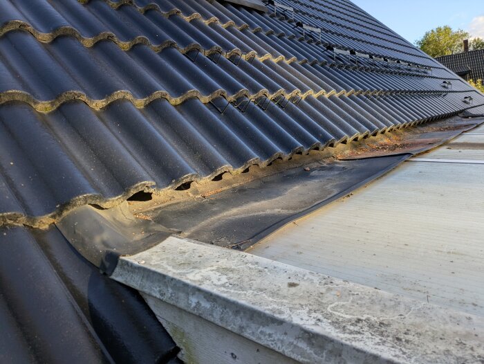 Svart takpannetak och anslutning till uterum utan synligt läckage.