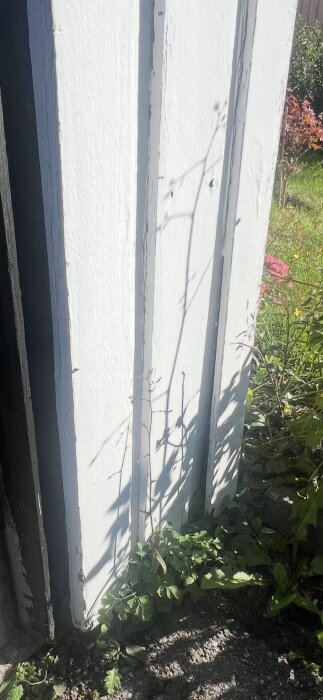 Träpanel med vit färg på en vägg, omgiven av gröna växter och stenar, med spår av fukt och vittring längst ner.