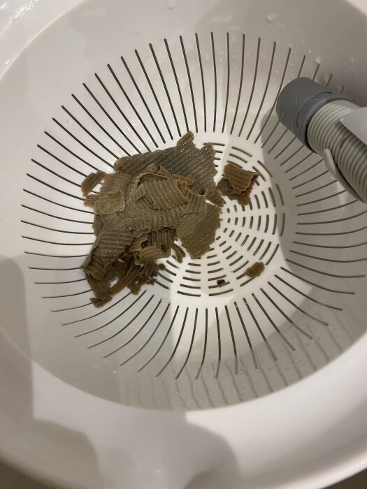 Bruna, lövtunna avlagringar från tvättmaskinens avloppsslang i ett durkslag, möjligen på grund av tvättmedel.