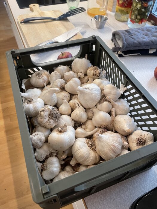En låda full med vitlöksskördar på en köksbänk, med köksredskap och inlagda grönsaker i bakgrunden.