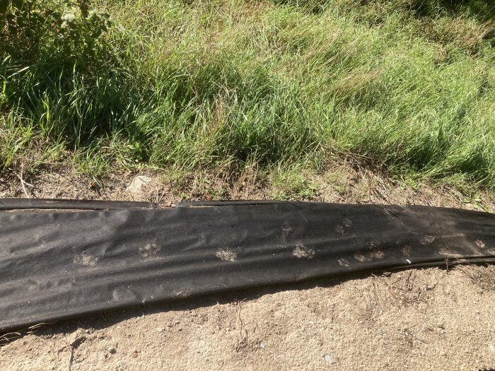 Fotavtryck på svart duk bredvid gräsbevuxen yta, del av grävprojekt.