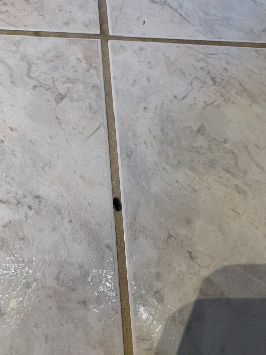 Litet hål i fog mellan ljusa golvplattor i badrum, där fogen har släppt.