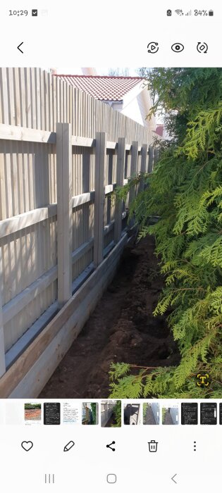 Trästaket med dike framför, omgiven av buskar och jord.