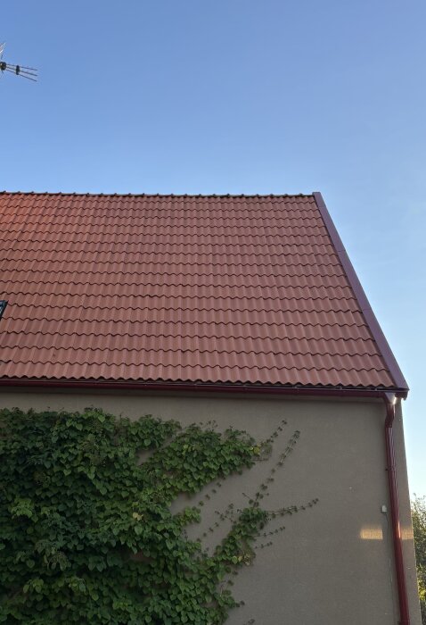 Rött tegeltak med växter klättrande på fasaden, klarblå himmel i bakgrunden.