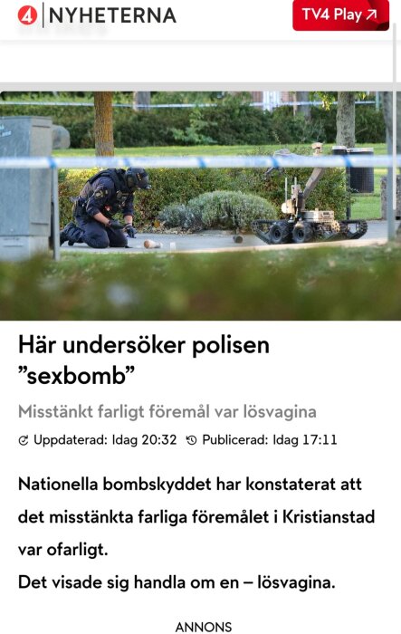 Polis undersöker misstänkt föremål i park, nationella bombskyddet närvarande.
