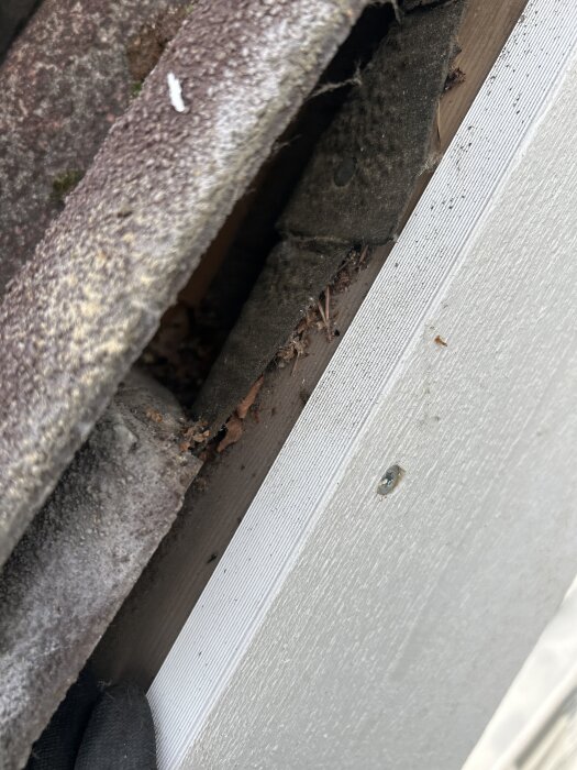 Närbild av en skruv i en ny vindskiva som går igenom trekantslisten, med takpannor och underlagspapp synliga ovan.