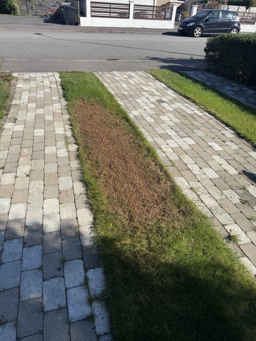 Bild av en stenlagd uppfart med en rektangulär remsa av gräs och jord i mitten, gräset jämfört över tid efter sådd.