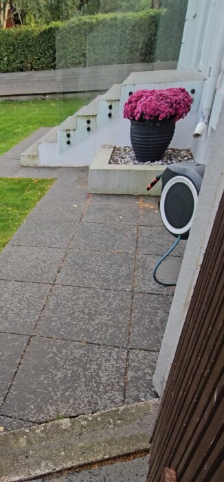 Utomhustrappa med vita lekablock, en stor blomkruka med rosa blommor, grön gräsmatta och en slangvinda på väggen.