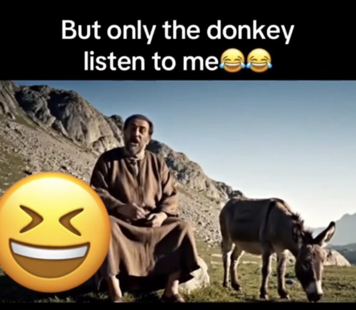 Man sitter bredvid åsna på bergssluttning med texten "But only the donkey listen to me" och en skrattande emoji i förgrunden.
