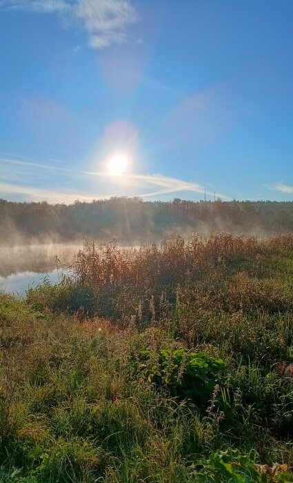 Solig höstmorgon vid Eskilstunaån med dimma över vattnet och höga gräs vid strandkanten.