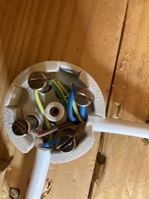 Kopplingsdosa med synliga elkablar i blått, brunt och grönt/gult monterade, placerad mot en träyta.