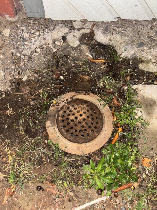 Avloppsbrunn utomhus omgiven av grus och ogräs.