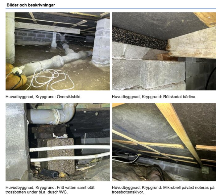 Översiktsbild av krypgrund med synliga rördragningar och kabel härvor.