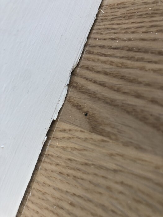 Springa mellan trägolv och vitmålad vägg med ojämn kant.