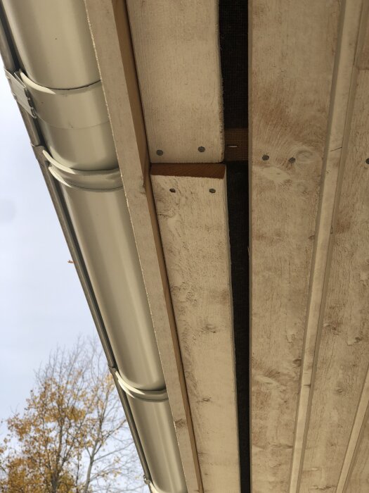 Utomhusbild av takfot med vit takränna monterad på träpanel. Träden i bakgrunden visar höstlöv under en klar himmel.