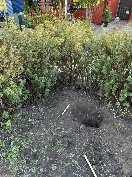 Grävd grop i mark med omgivande buskar; områdets konturer markerade med snören och träpålar, synligt i trädgård framför röd byggnad.