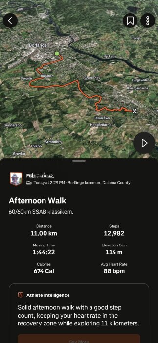 Karta med promenadrutt i Borlänge, markerad med röd linje. Detaljer visar 11 km distans, 1:44:22 tid, 12,982 steg och 114 m höjdökning.