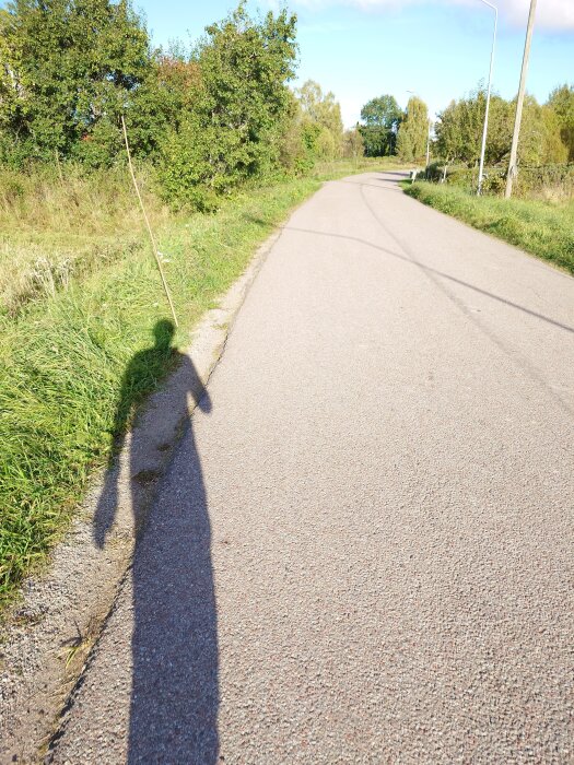 Skuggans silhuett av en person på en landsväg, omgivet av grönskande buskar och träd under en solig dag.