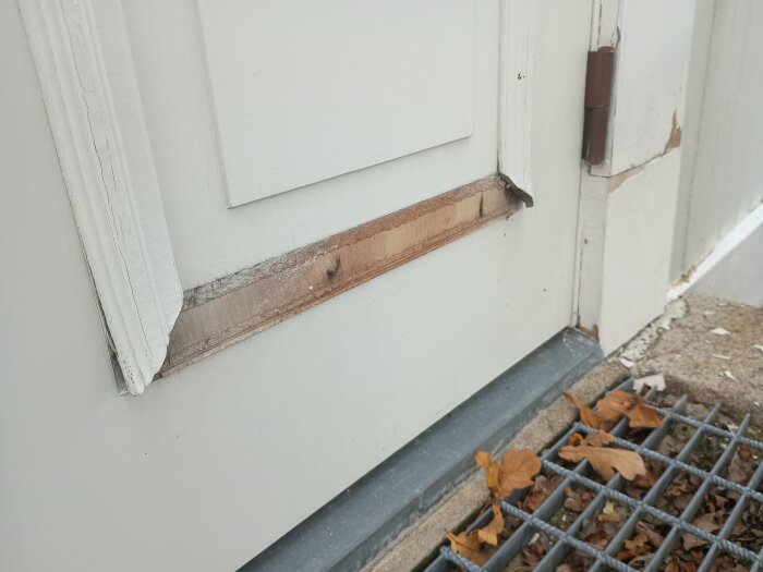 Dekorlister på ytterdörr som släppt, med avskalat parti där originalfärg saknas och höstlöv samlade på gallergolv vid dörren.