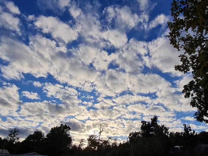 Molntäckt himmel över träd och byggnader i solnedgång.
