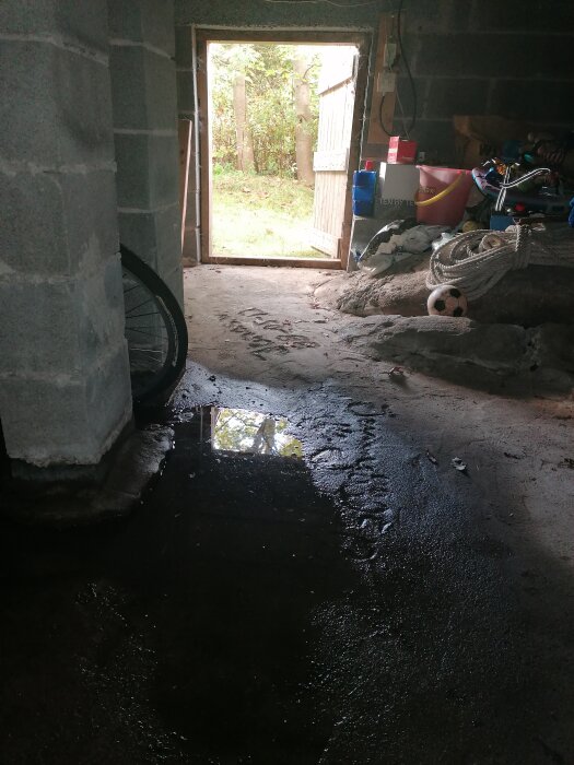 Vattenpöl i mörk källare med dörr mot trädgård; cykelhjul, rep och fotboll syns.