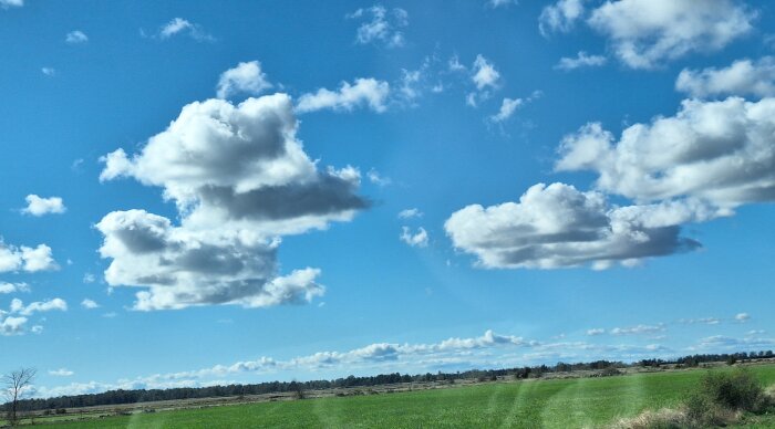 Blå himmel med stora, vita moln över ett grönt fält och skog bortom horisonten.