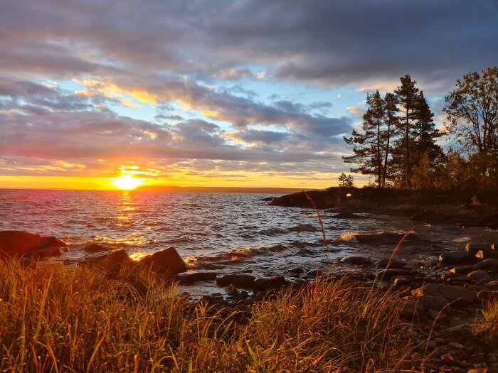 Soluppgång över ett hav med vågor, omgiven av klippor och träd vid kusten.