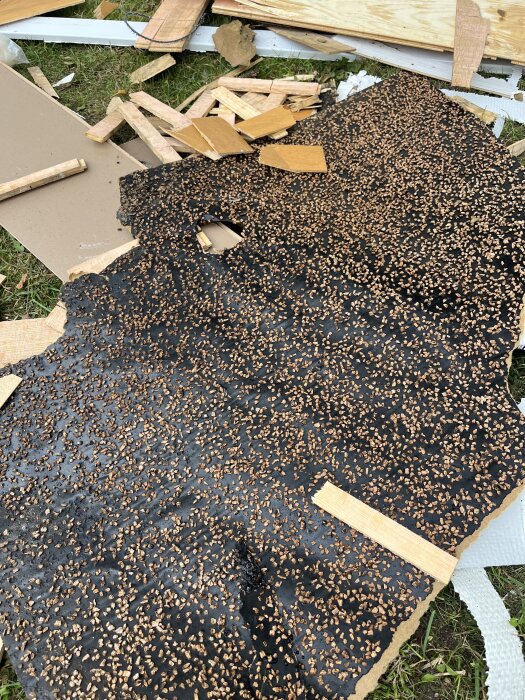 Svart material med bruna fläckar under borttagen parkett, omgivet av träbitar och spill, troligen gammalt underlag eller dämpande skikt.