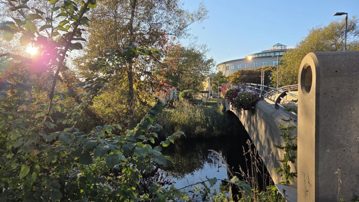 Bro över en kanal med blommor och grönska i förgrunden, under en klarblå himmel och solnedgång.